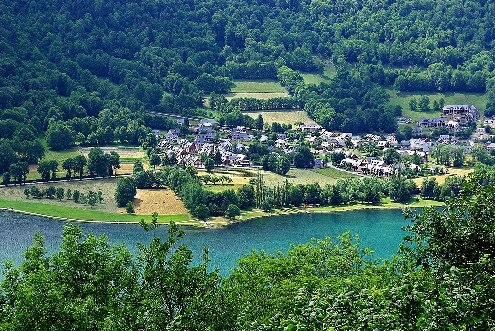 Génos