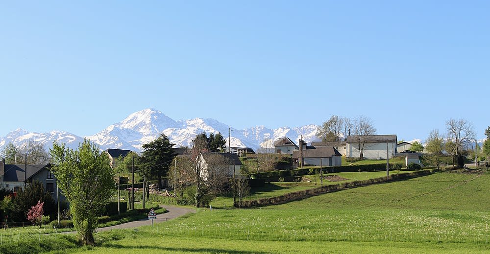 Hauban