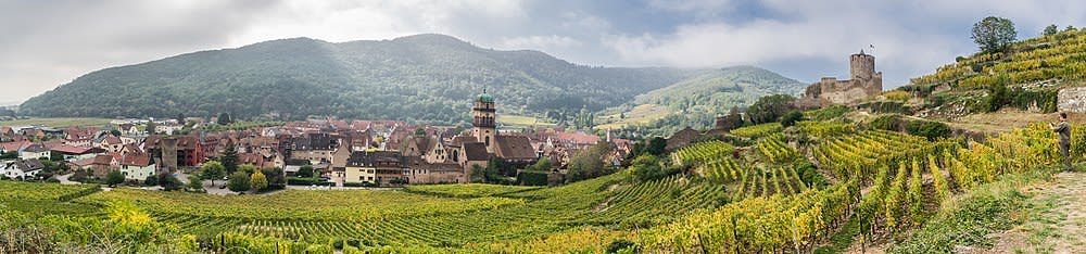 Kaysersberg Vignoble