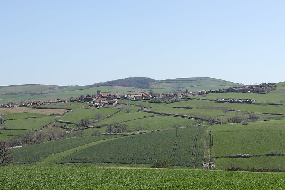 Longes