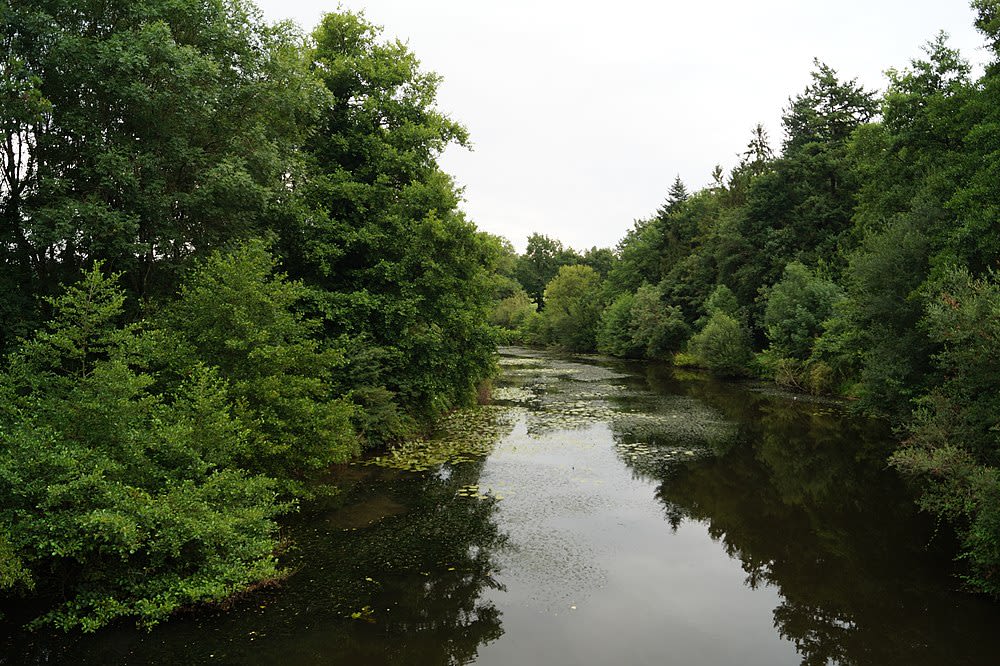 Rives de l'Yon