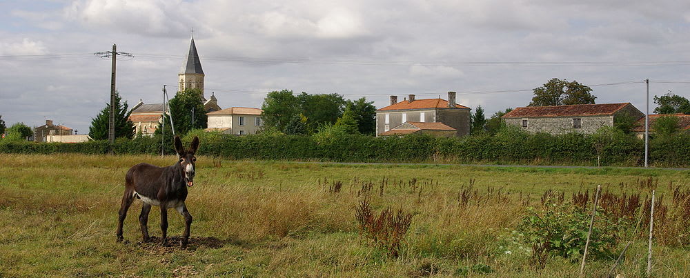 Saint-Pierre-le-Vieux