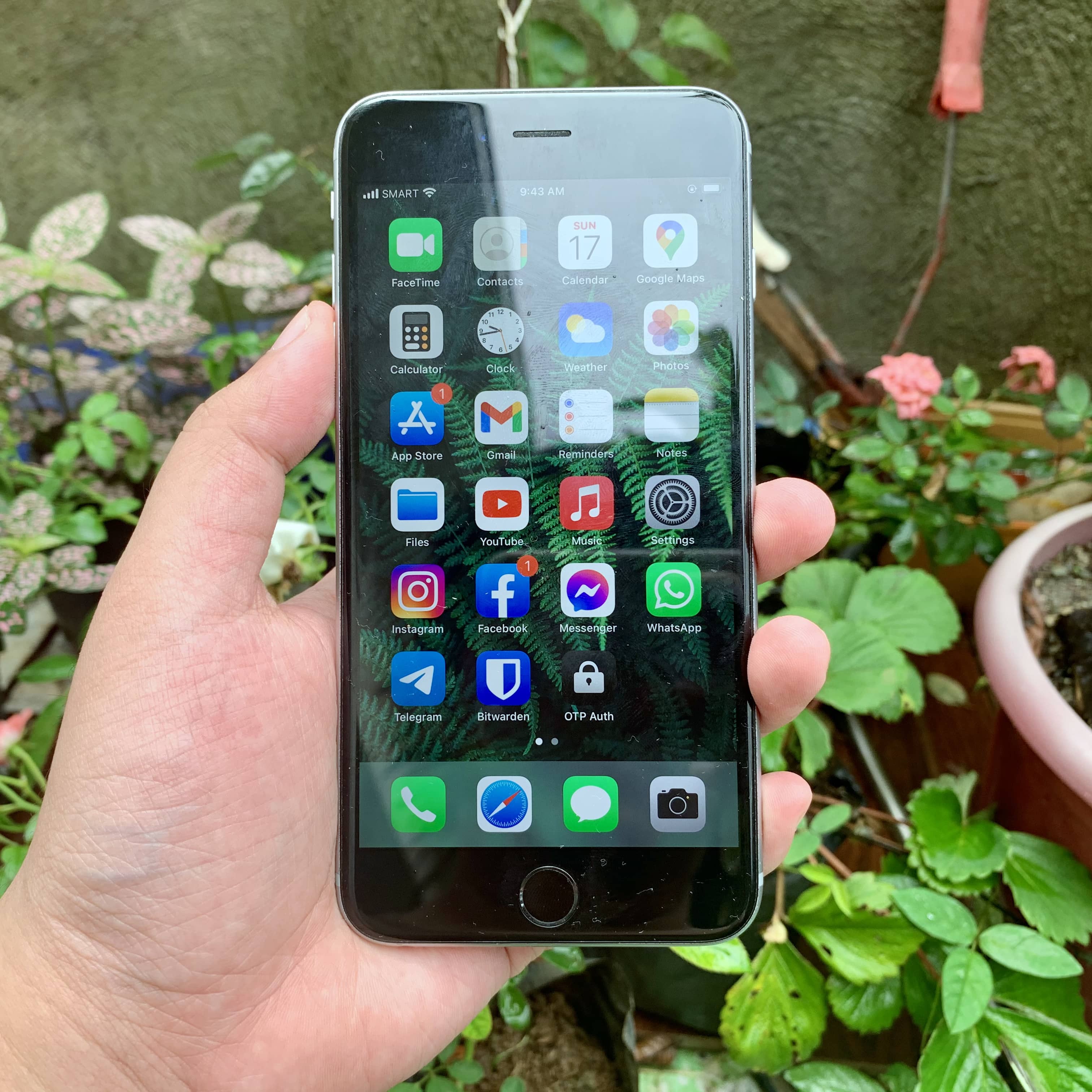 iPhone 6S Front iPhone 6S Front