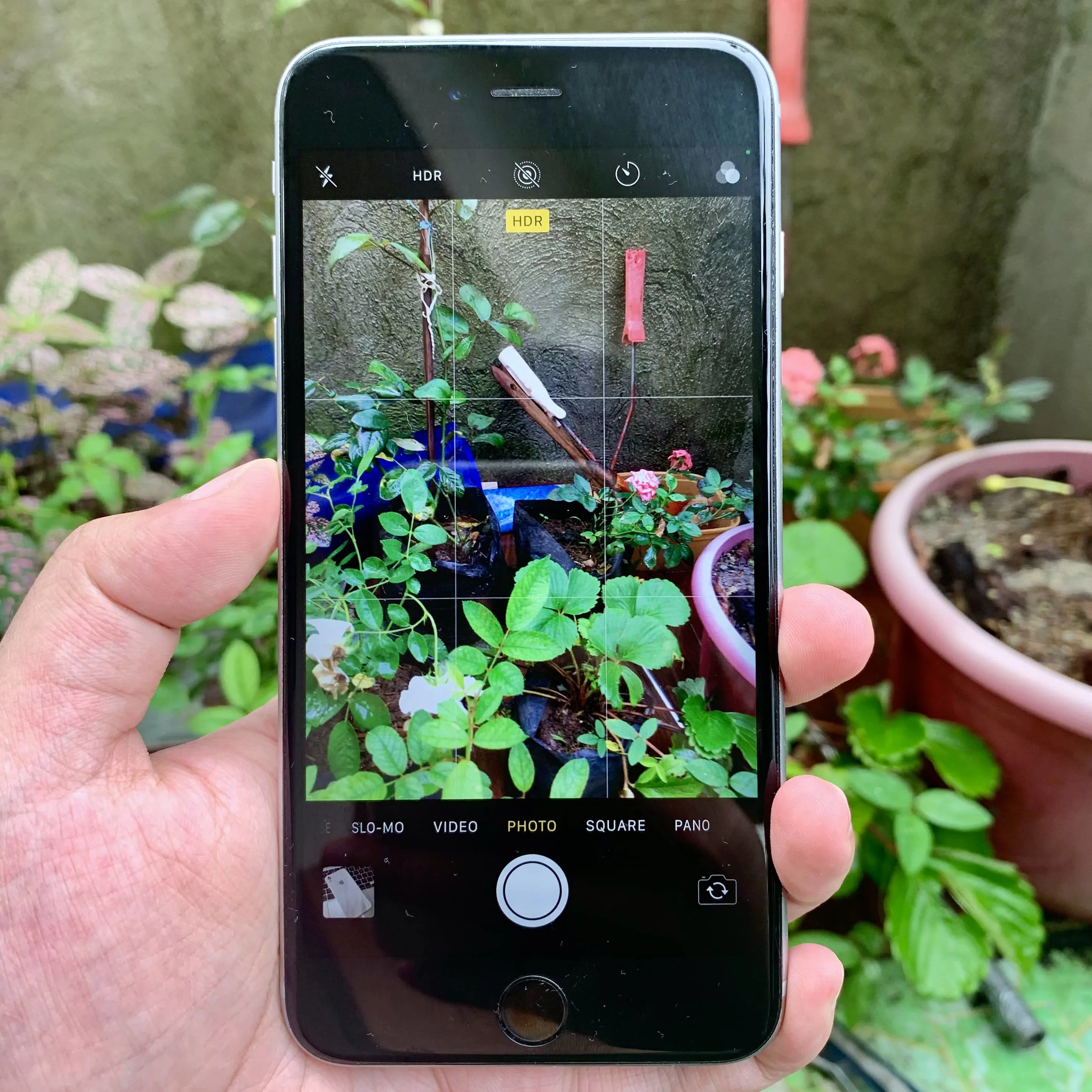 iPhone 6S Viewfinder iPhone 6S Viewfinder