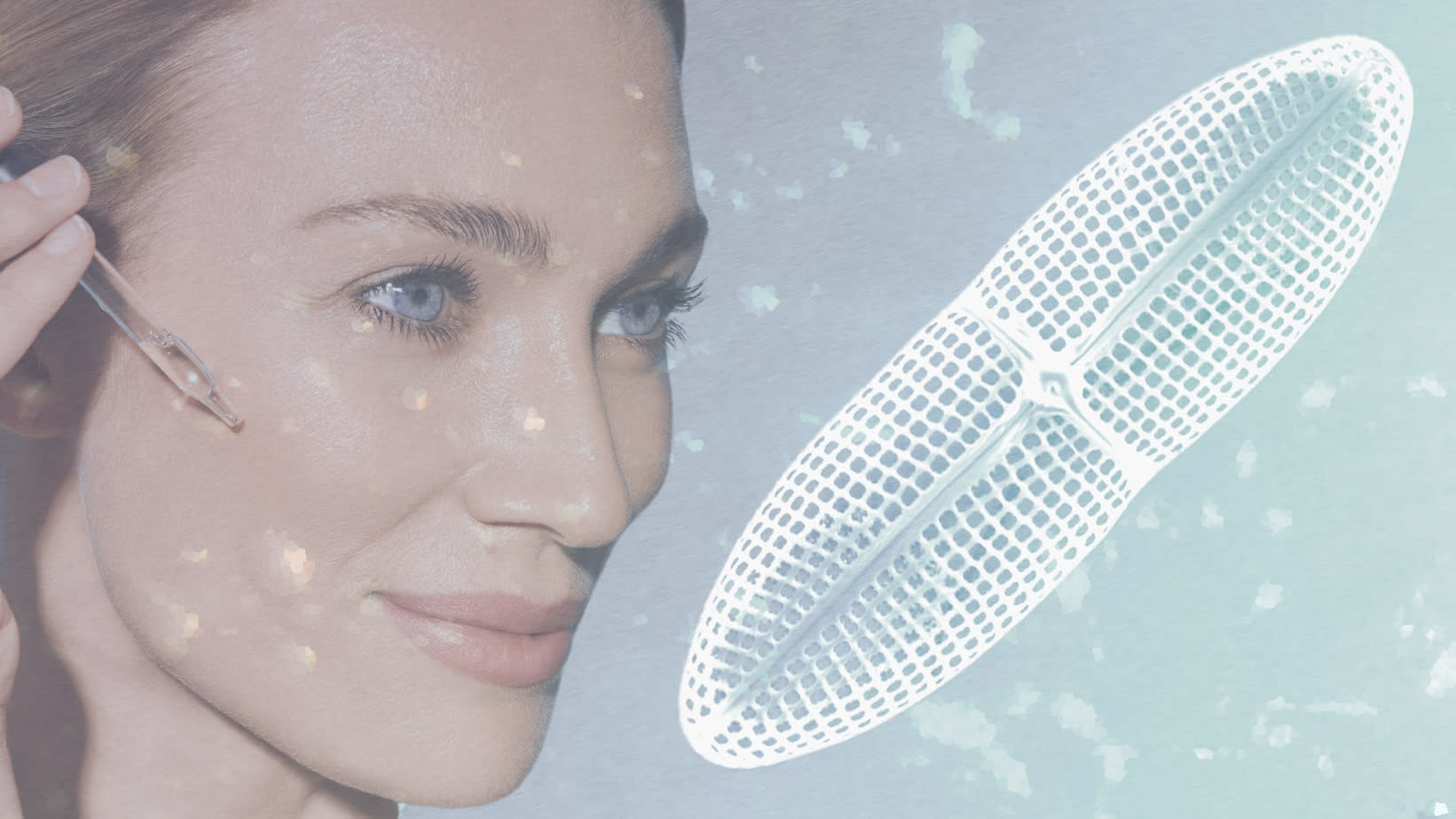 Algica® in beauty care