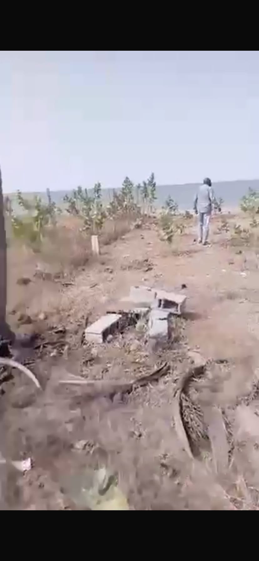 Un terrain de 600m2 à Mbour point saréne — photo 3