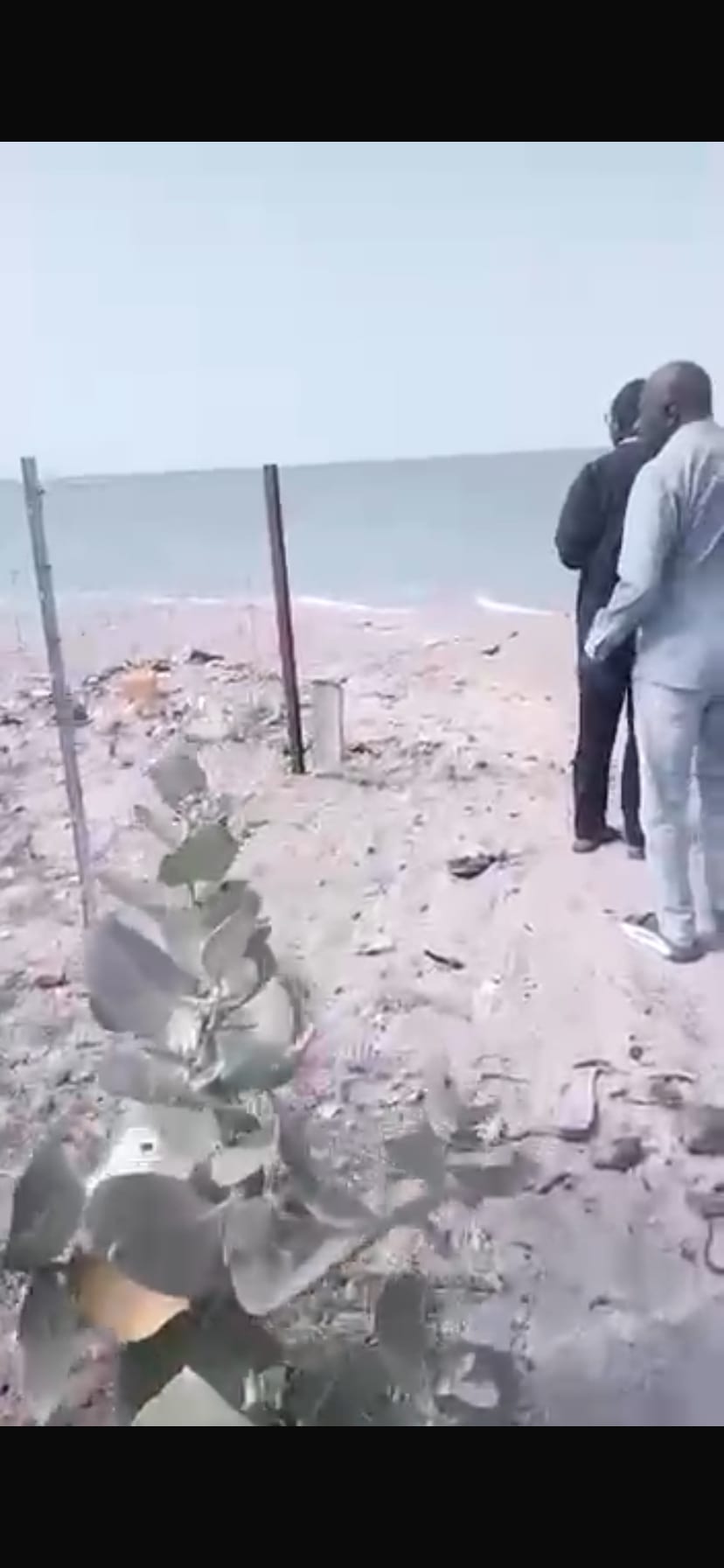 Un terrain de 600m2 à Mbour point saréne — photo 5
