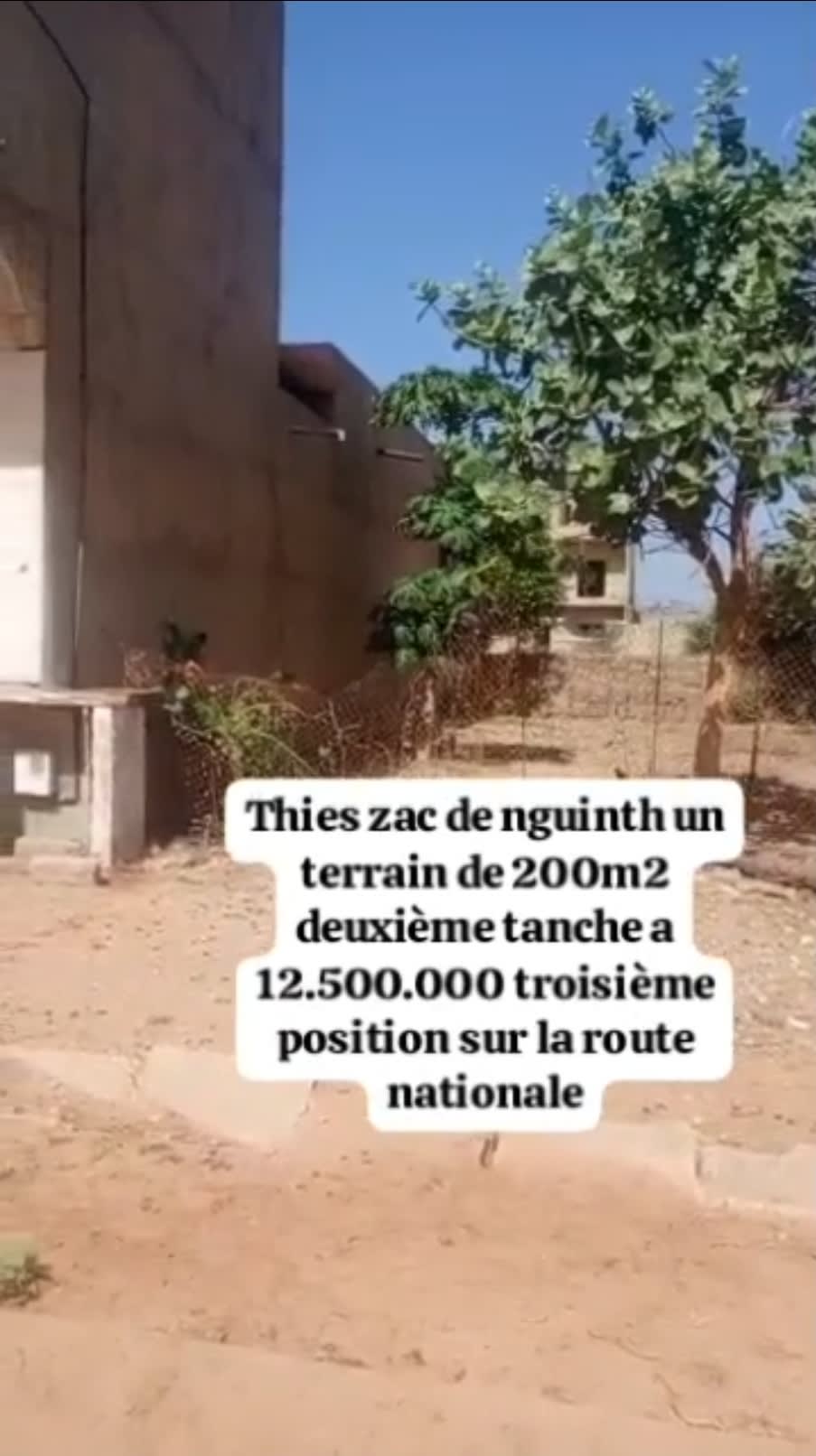 Terrain 200 m2 Thies Zac Nguint  — photo 2