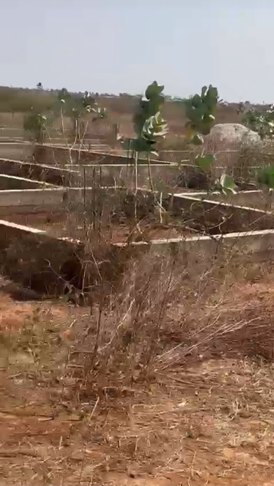 Deux terrains de 300m2 chacun jumelés à Thies à côté du péage ila touba Momboye TF global — photo 2