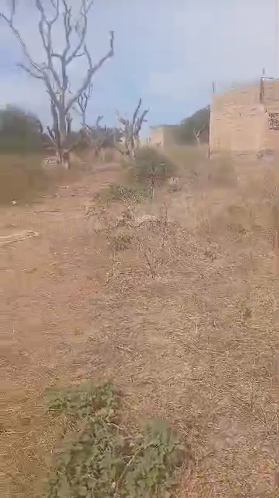 Terrain de 300 m2 à Thies Sampate 2