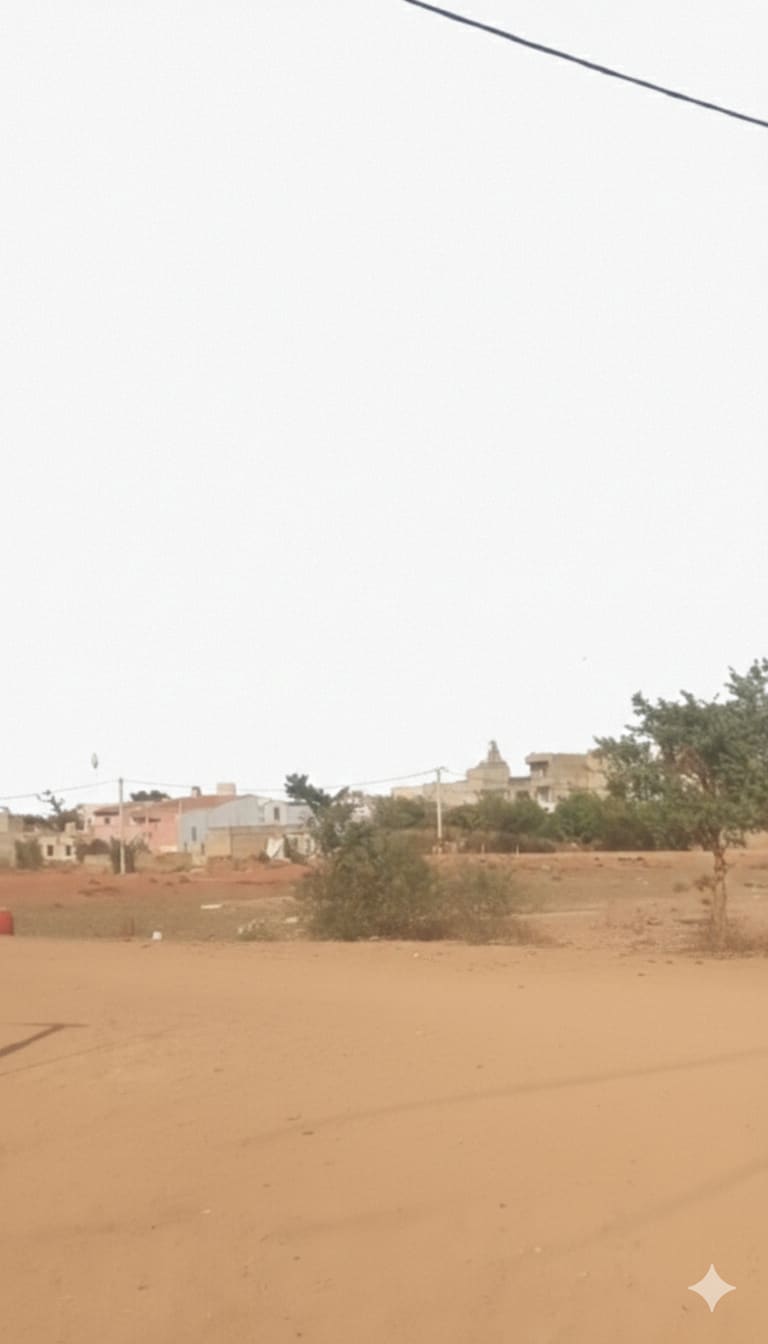 Terrain d'Angle 300m² à Vendre Thiès Route Dakar 2 - Côte à Côte Grand Standing | Attribution Lettre D | 15M FCFA