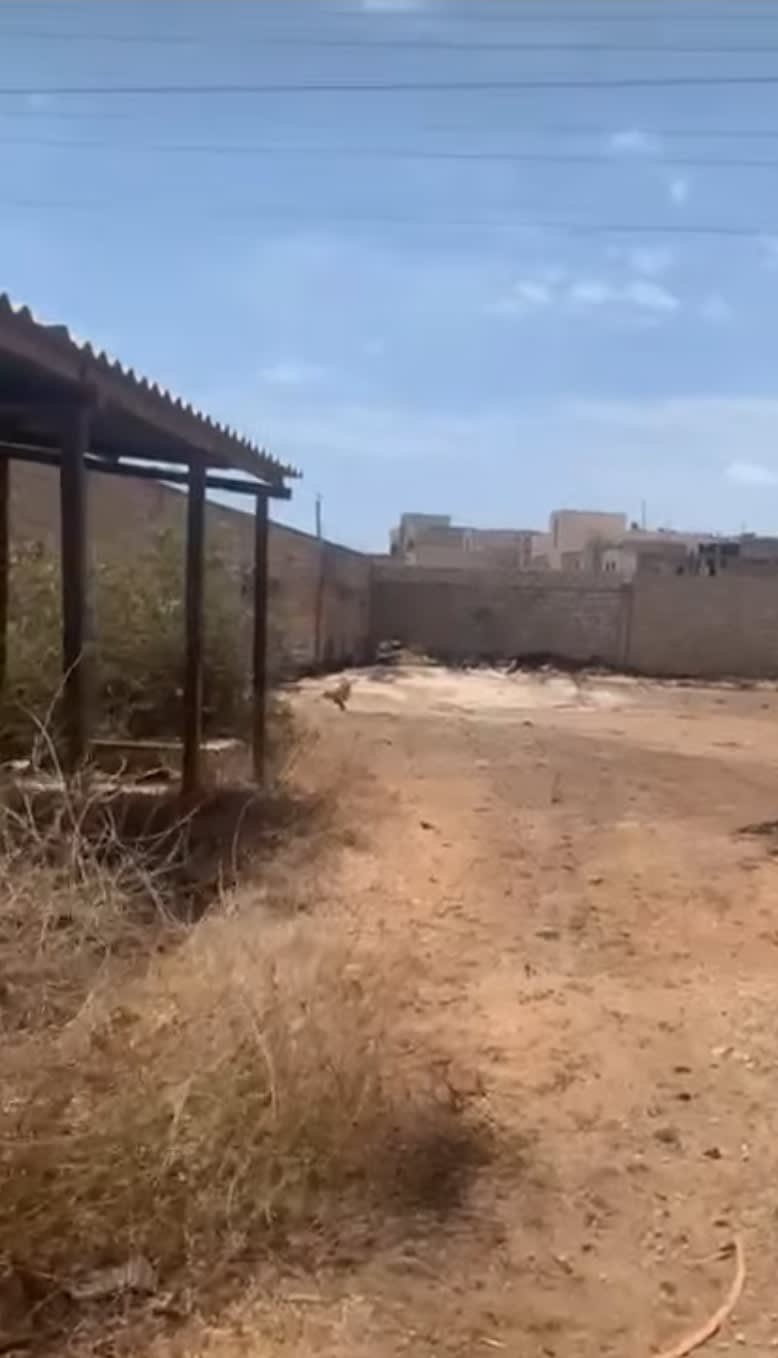 Dépôt 2200m² à Louer ZAC Mbao - Derrière Usine FKS | Espace Sécurisé | 1 200 000 FCFA HT/mois