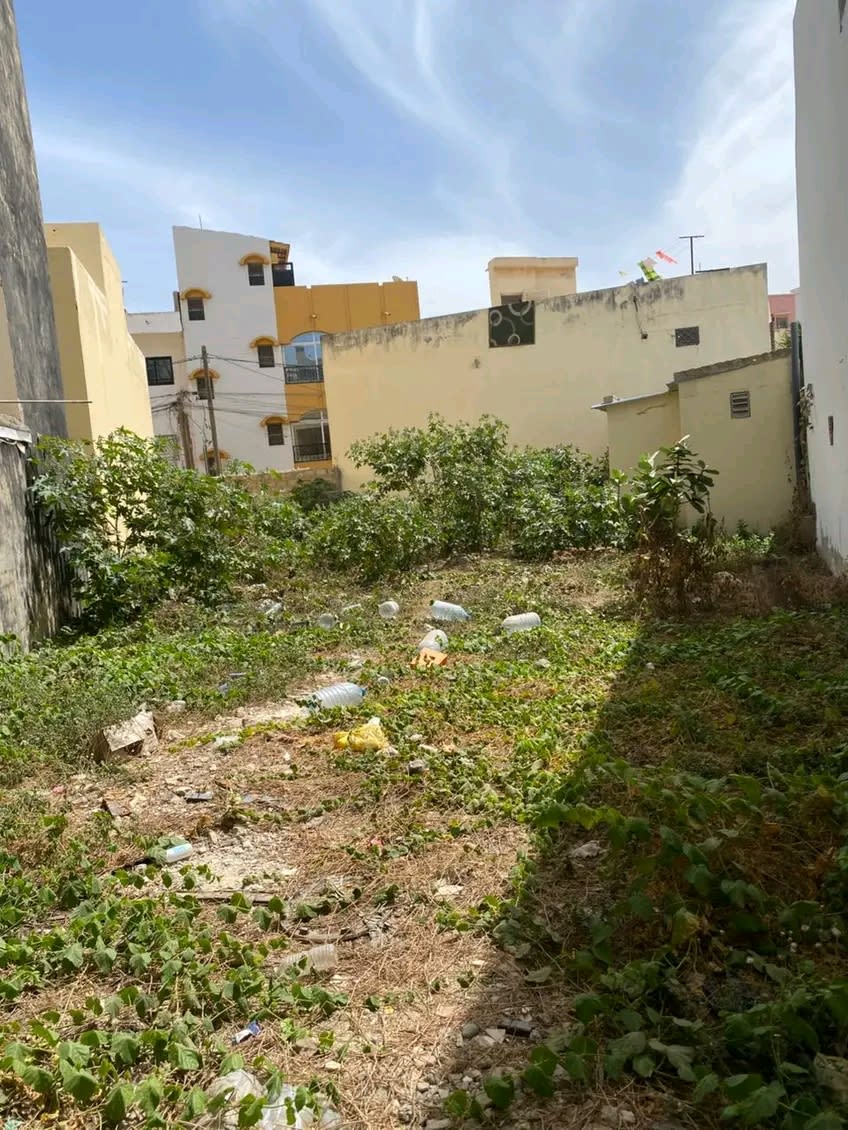 Terrain 308m² à Vendre Cité Sipress 1 VDN - Proche Liberté 6 | Titre Foncier | Prix Négociable 125M FCFA