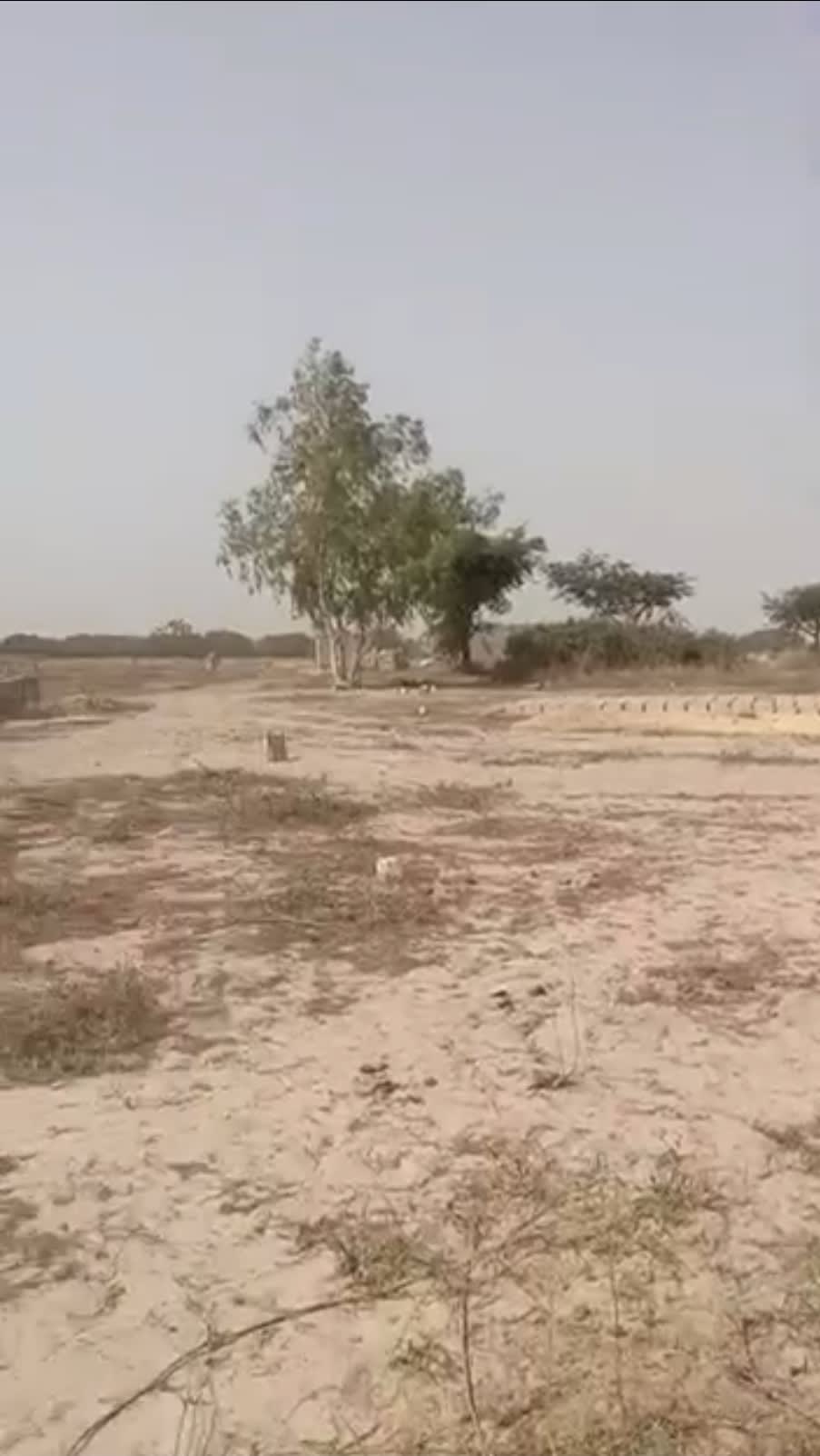 Terrains 150m² à Vendre – Noflaye | Zone Habitée | Eau & Électricité | Délibération Double Signature | À partir de 3 Millions/Parcelle VMT