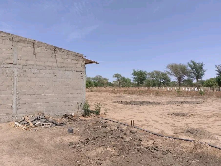 Ferme 10 000m² à Vendre – Sortie Autoroute Toubatoul | Élevage Complet + Habitation | Forage Solaire | Délibération Double Signature | 68 Millions — photo 2