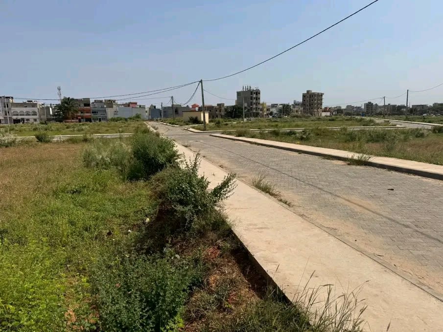 Terrain 150m² à Vendre – Lotissement Sénico Tolou Abdoulaye Wade | Titre Foncier Individuel | 37 Millions Last