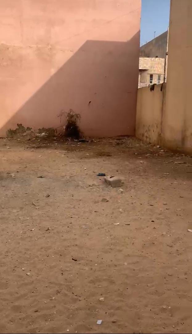 Terrain 175 m² à vendre Cité ASECNA Yeumbeul Dakar – Derrière la police, titre foncier global, 30 millions FCFA