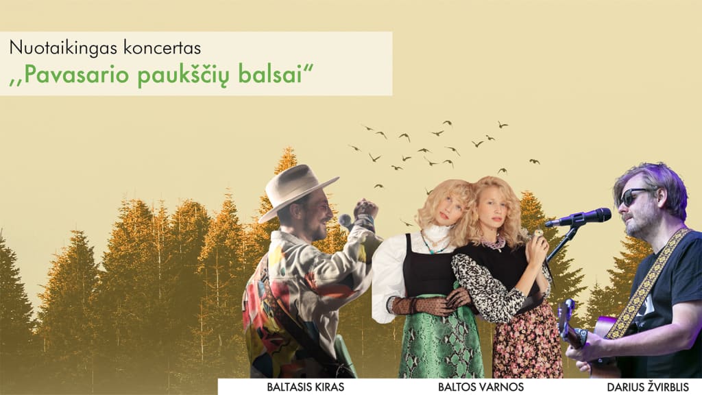 „Pavasario paukščių balsai“: „Baltasis Kiras“, „Baltos varnos“, Darius Žvirblis