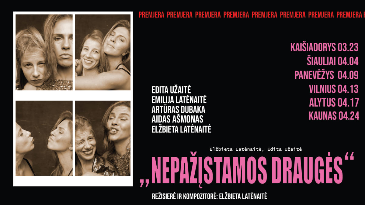 Spektaklis „Nepažįstamos draugės“