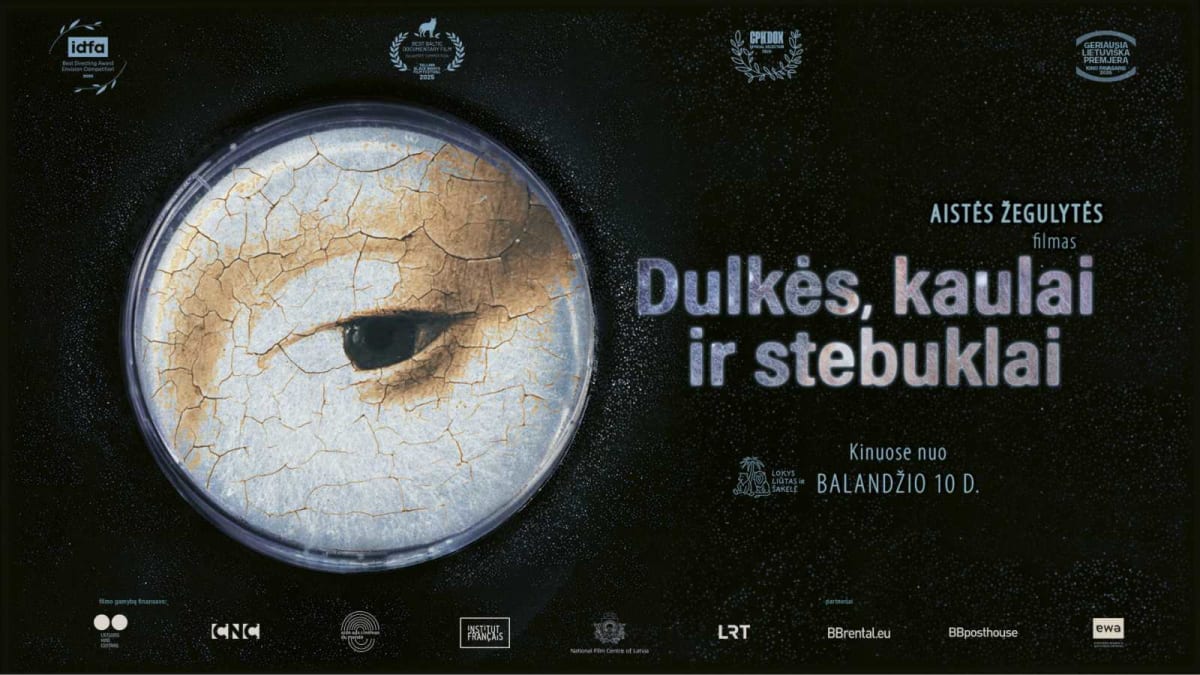 Dulkės, kaulai ir stebuklai | Garsas