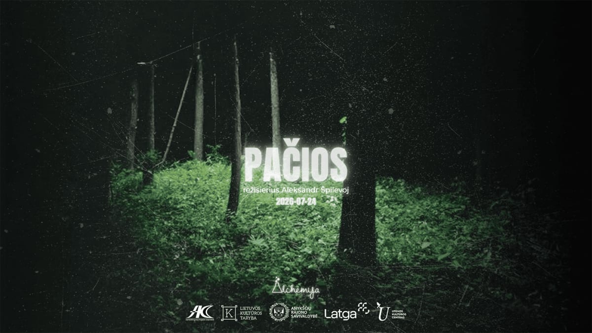 Naktinis spektaklis–kelionė miške „Pačios“