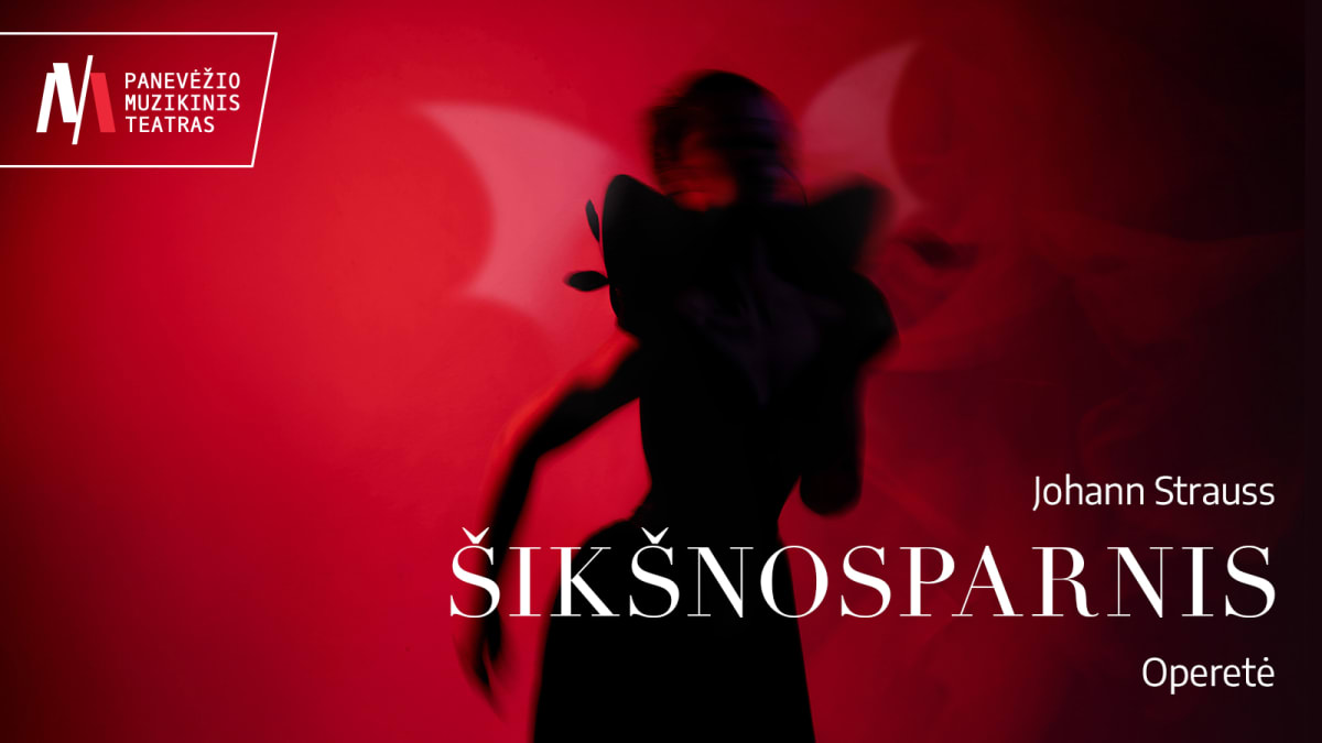 PMT | operetė ŠIKŠNOSPARNIS