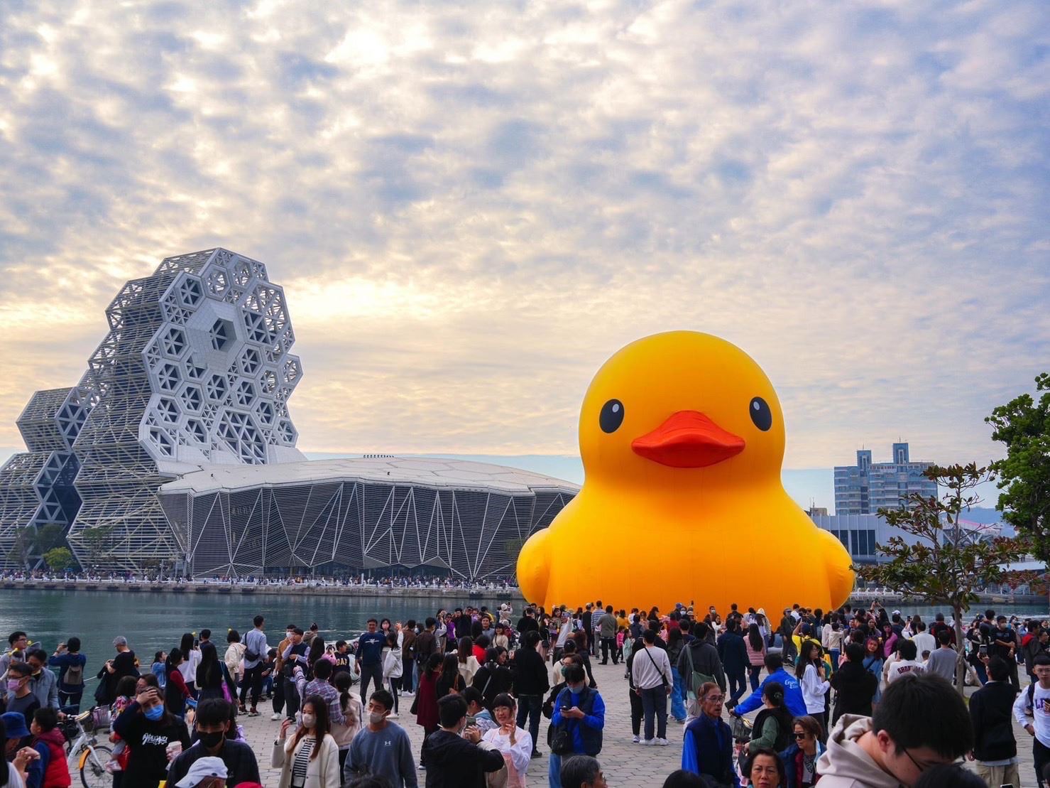 高雄黃色小鴨掀熱潮。（圖／高雄市政府提供）
