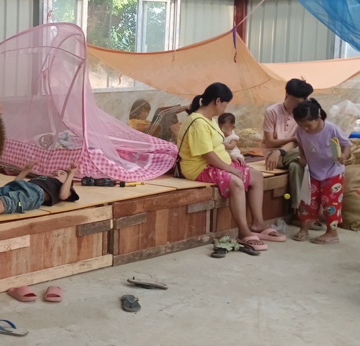 孤兒院的孩子入住奈比多安置中心。(救助協會提供)