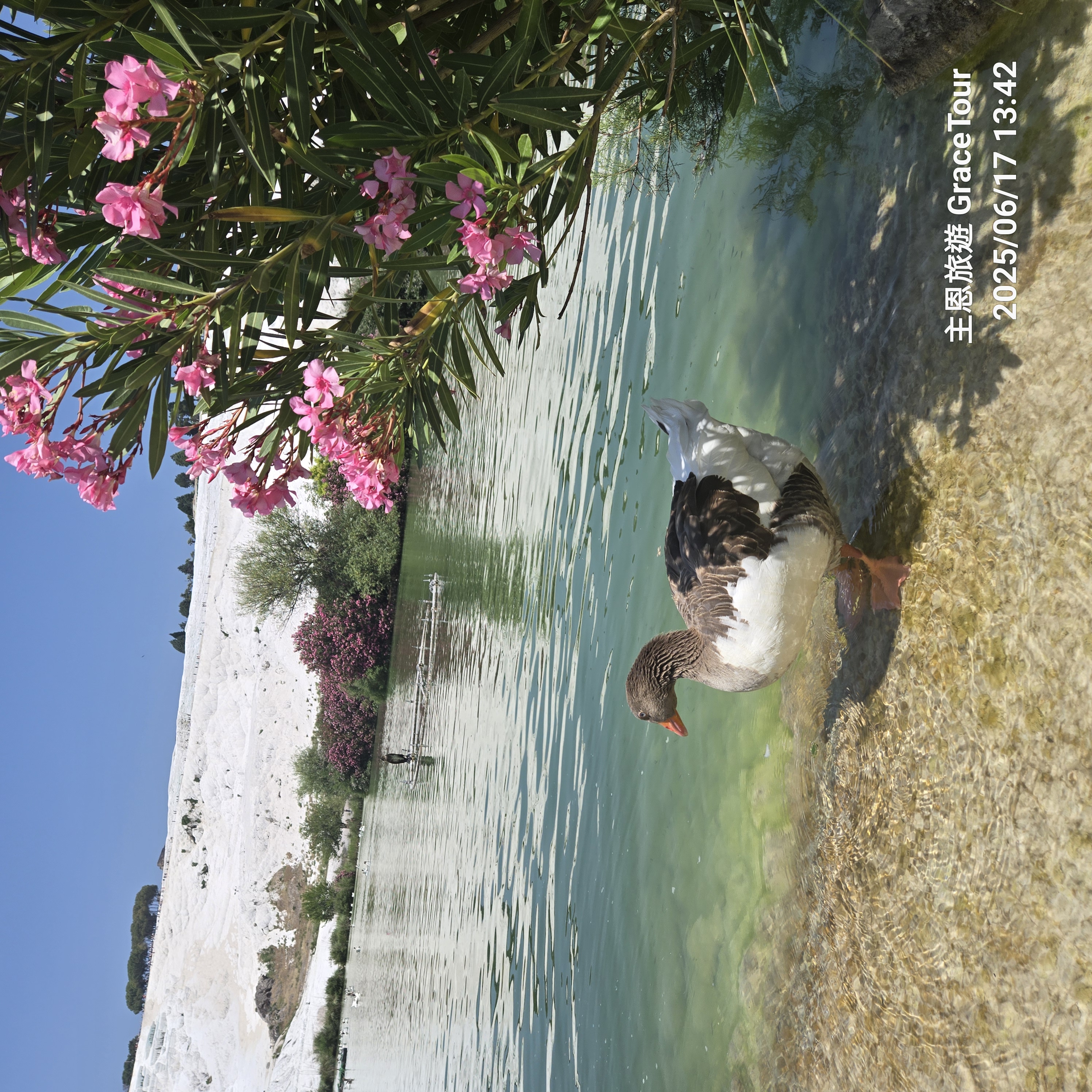 photo credit：主恩旅遊，ktb.gov.tr