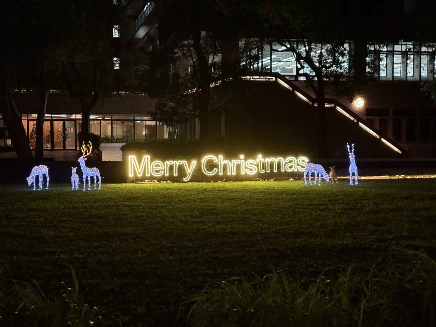 泉源之谷草坪燈飾點亮冬夜，象徵中原師生在挑戰中找到前行力量。