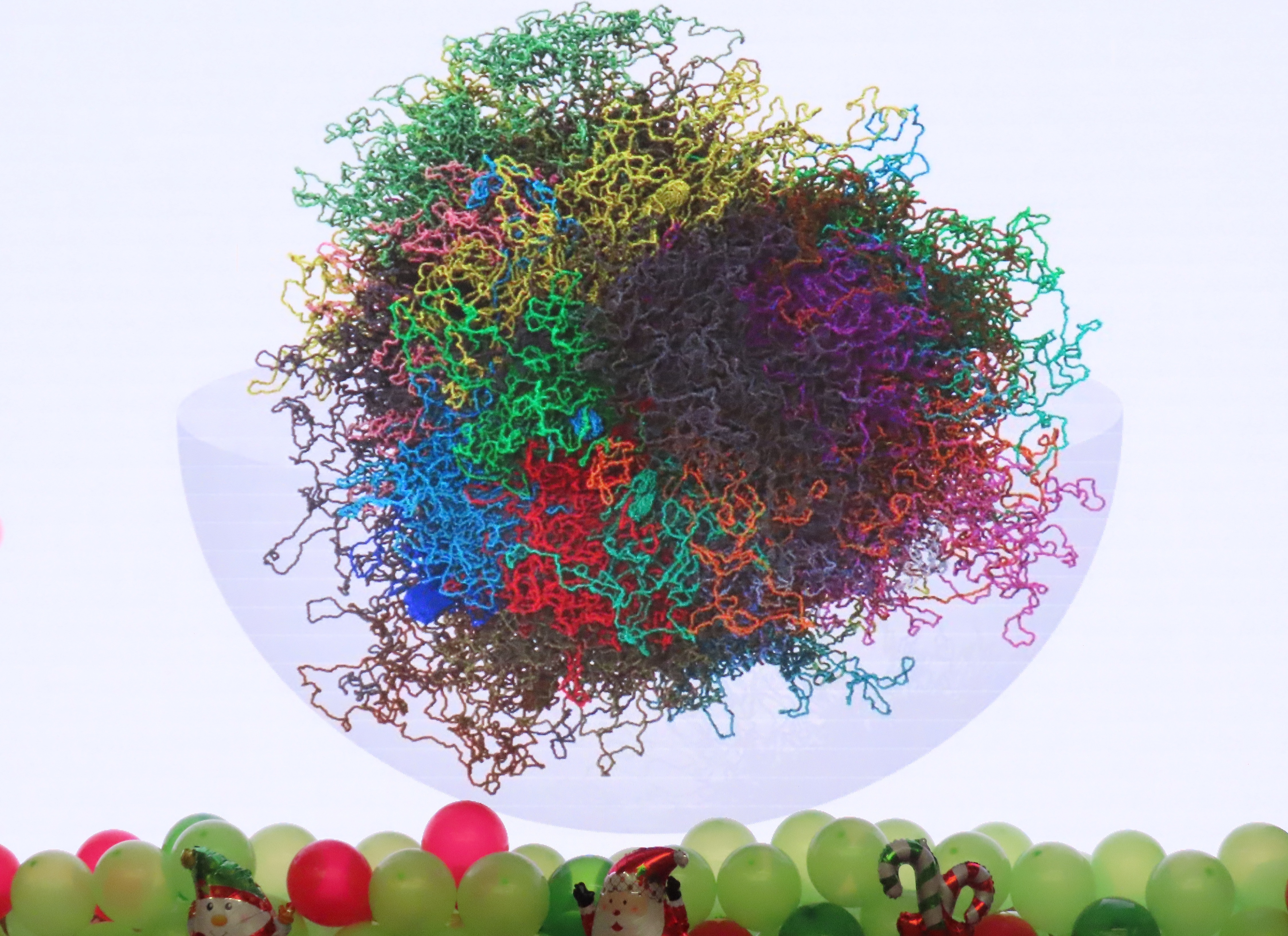 每條基因複製後也不會打結。