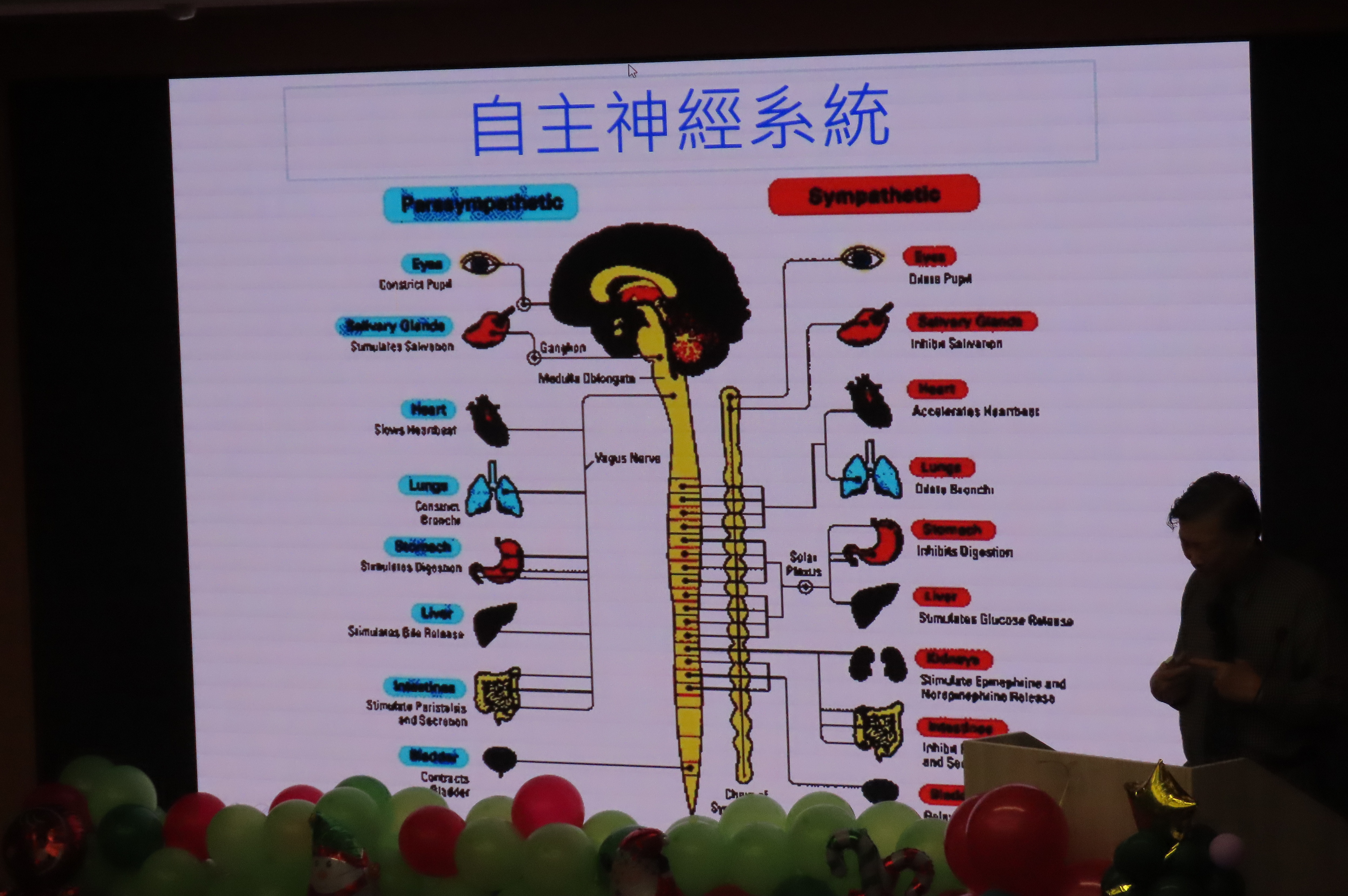 人有自主神經系統。