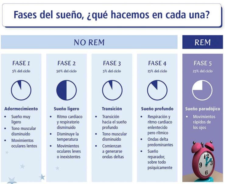 descripción