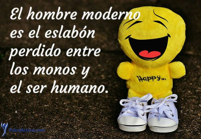 descripción