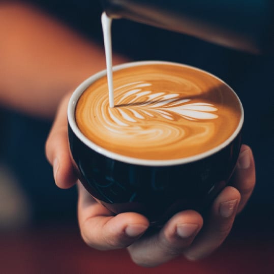 main-4-kaldi-coffee-new