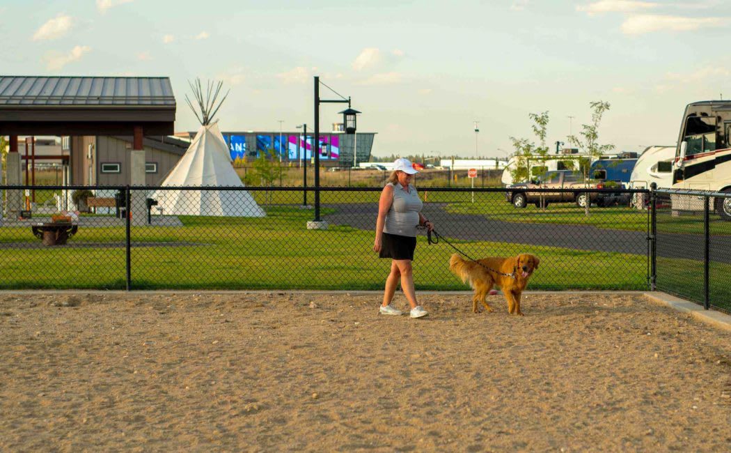 Wlking dog in dog park