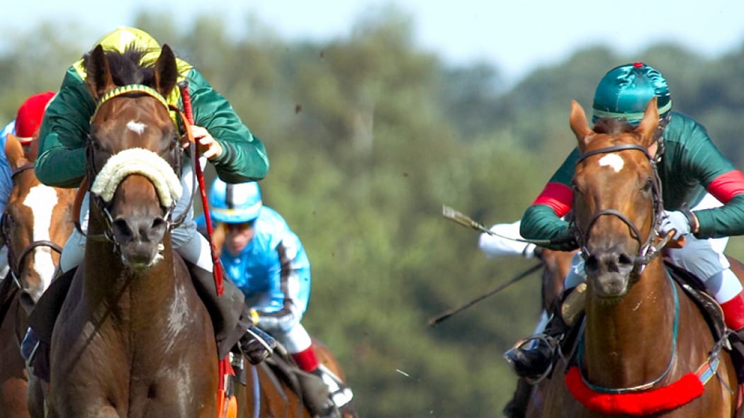 Racing Horses