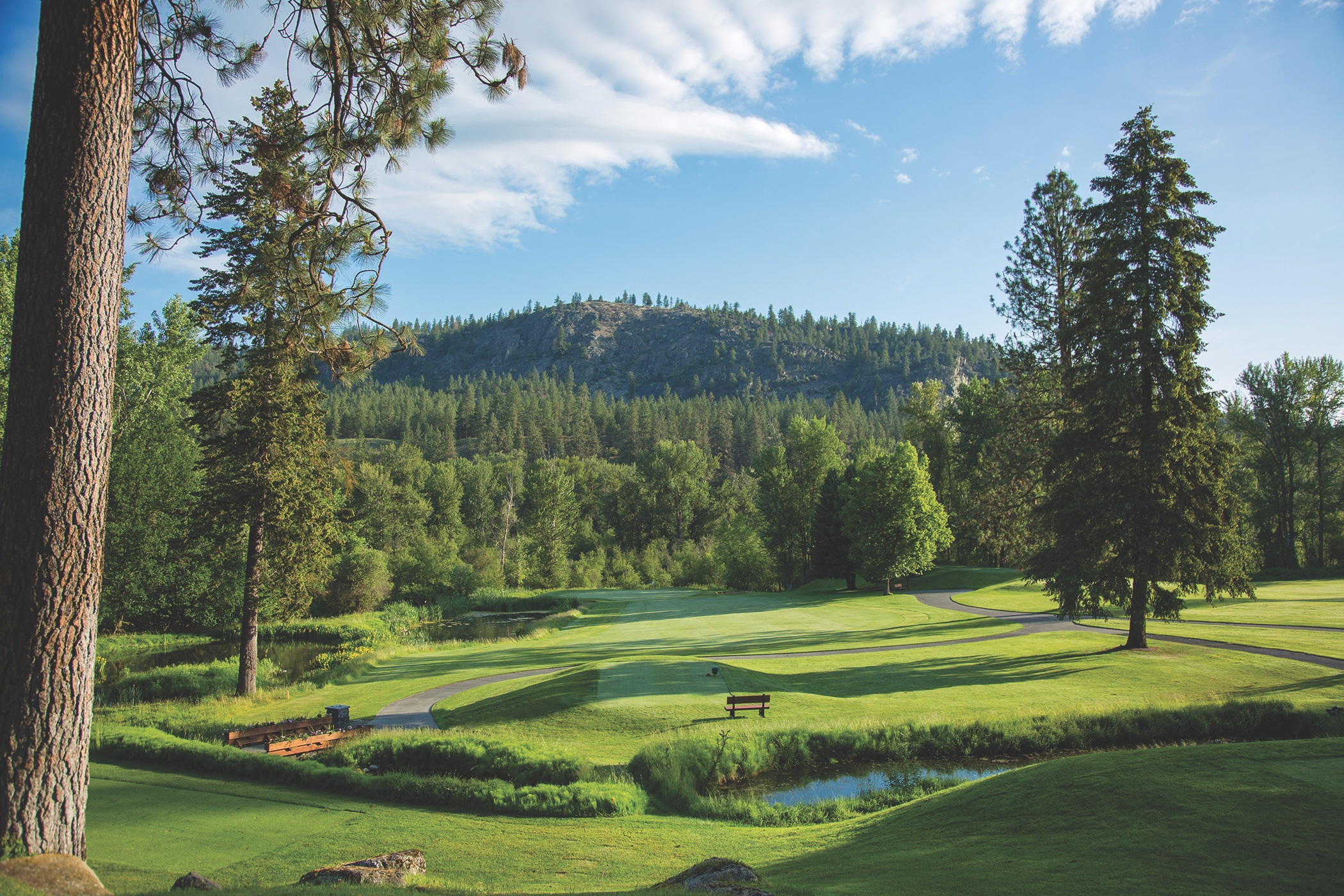 Fairway