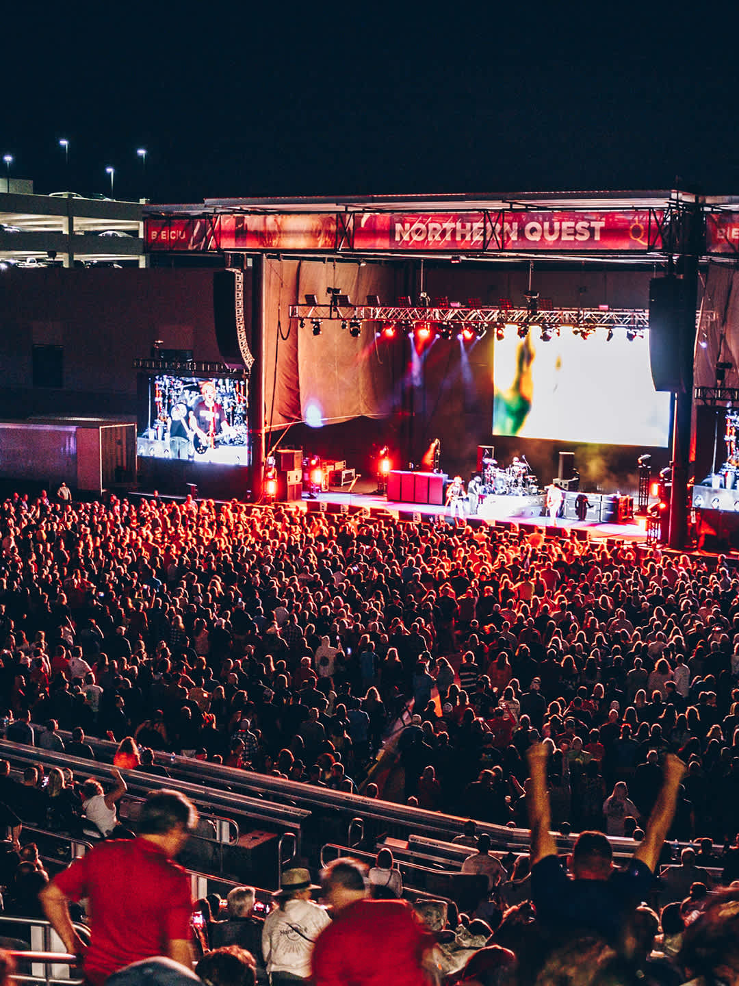 Concerts & Live Shows