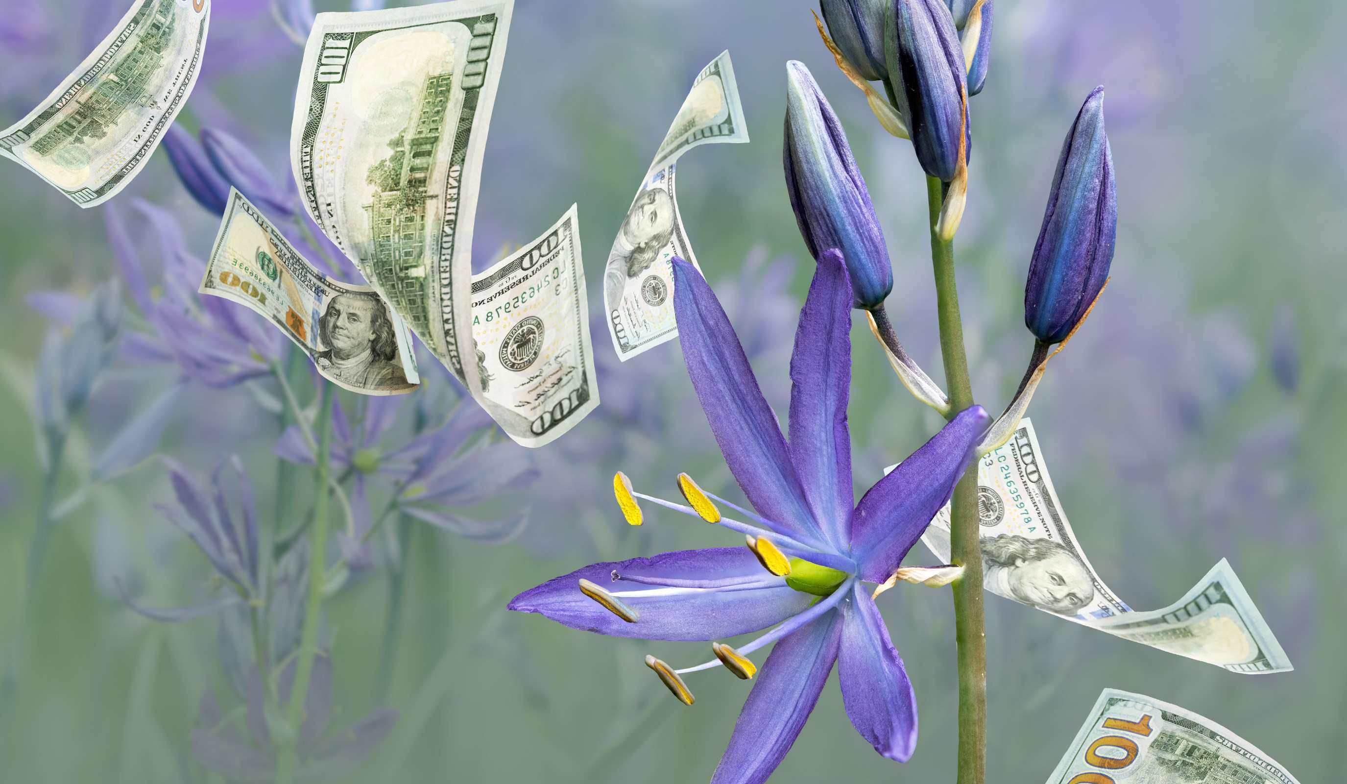 $70,000 Bloomin' Bounty Giveaway