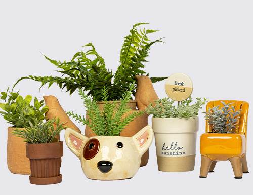 <p>40% OFF</p><p>Planters</p>