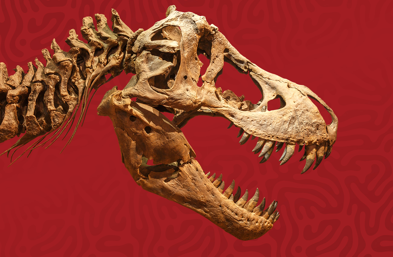 $35,000 Fossil Frenzy Hot Seats
