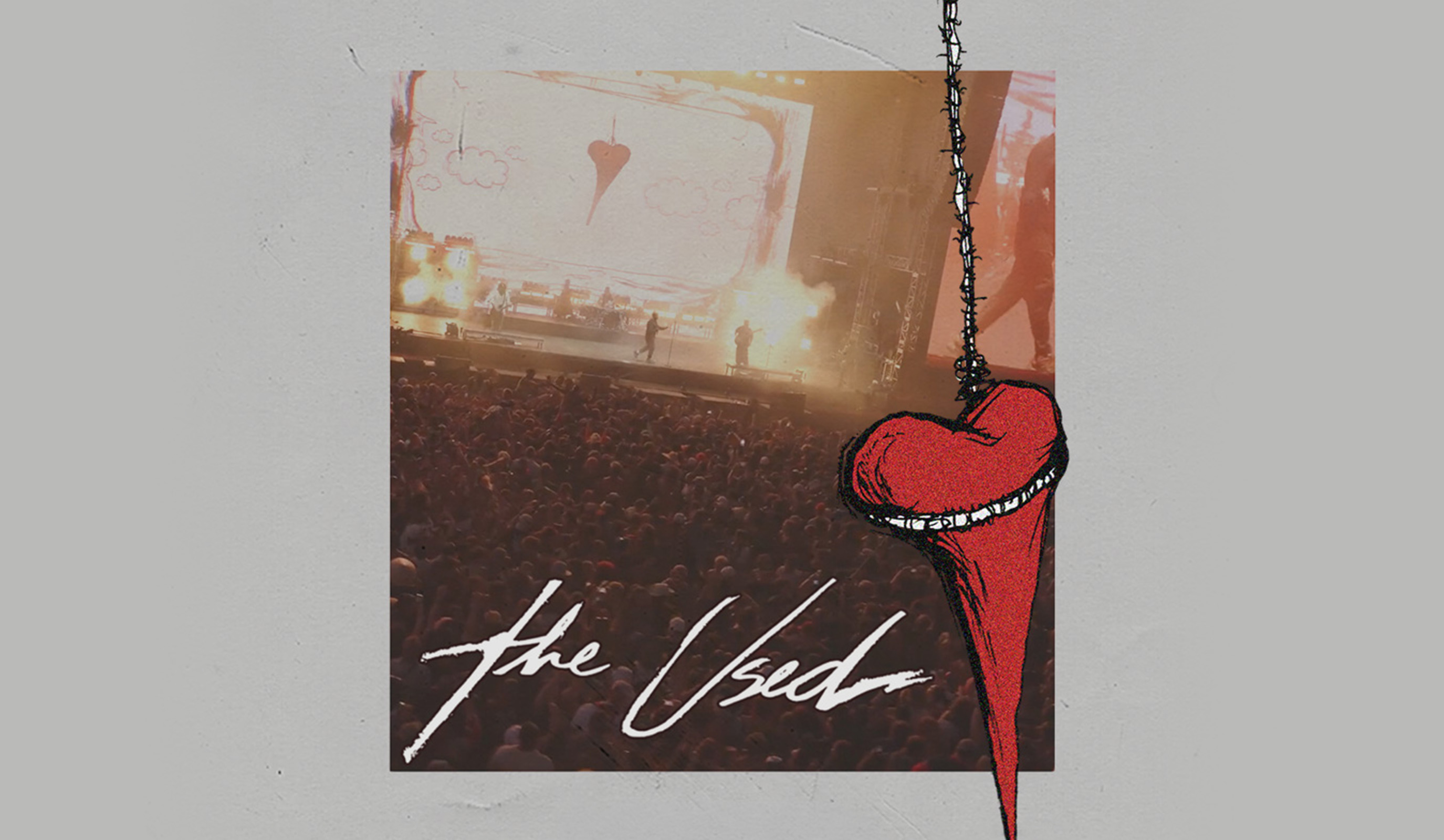 THE USED