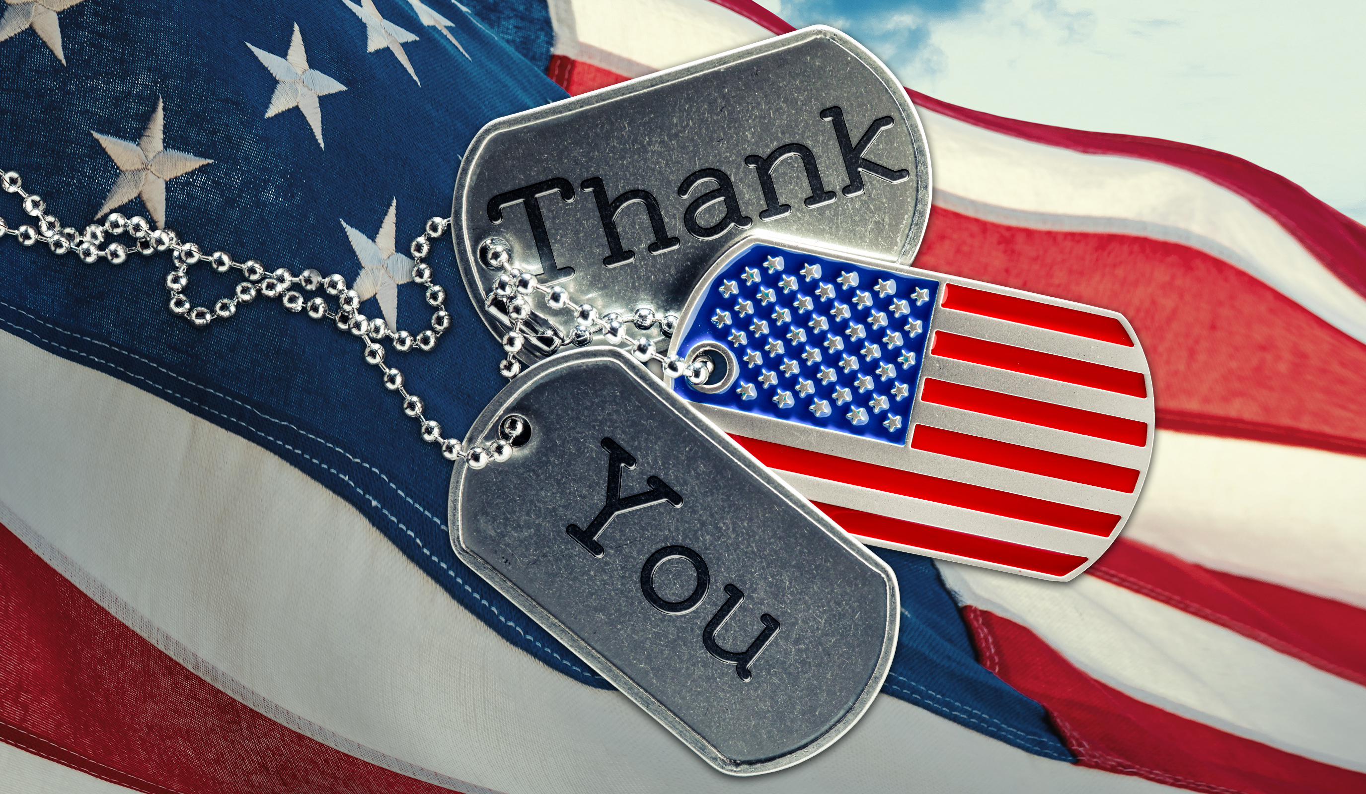 Veterans Day Giveaway