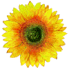 sun icon