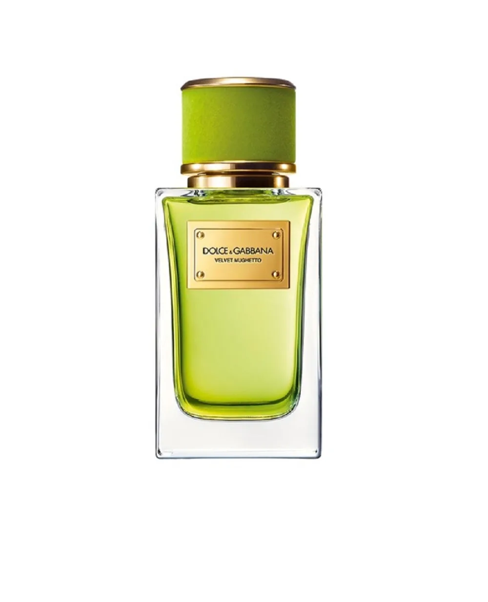 Парфюмированная вода Velvet Mughetto, 100 мл Dolce&Gabbana P1CO1C07-МЮГЕТТО, разноцветный цвет • Купить в интернет-магазине Kameron