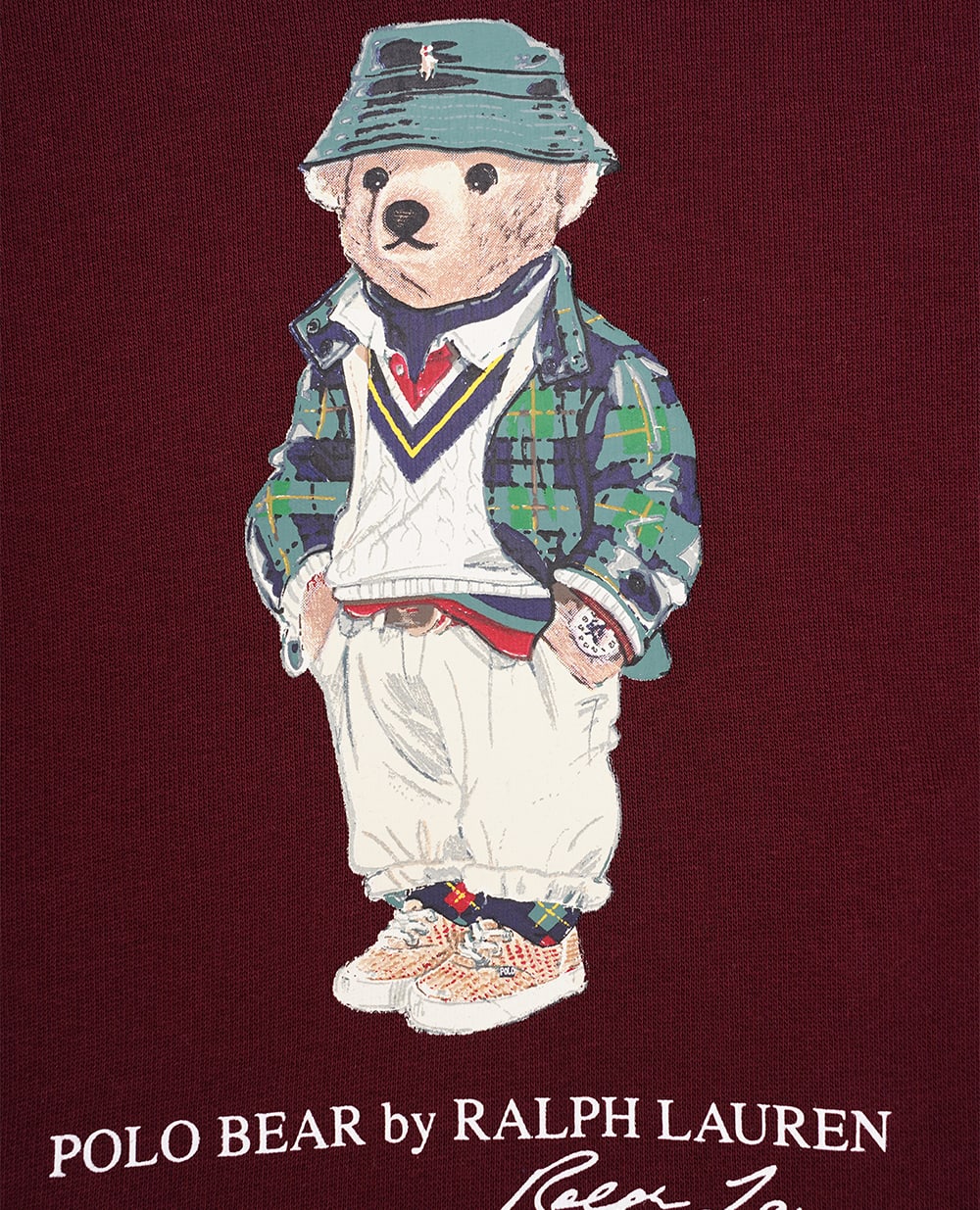Детское худи Polo Bear Polo Ralph Lauren Kids 322917432001, разноцветный цвет • Купить в интернет-магазине Kameron