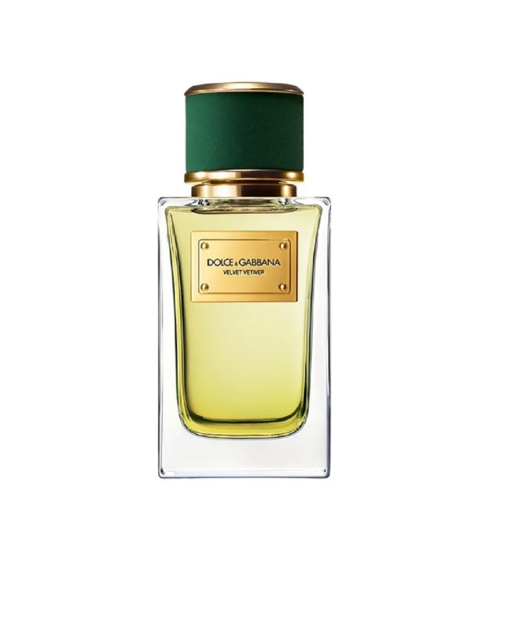 Парфюмированная вода Velvet Vetiver, 100 мл Dolce&Gabbana P1CO1C12-ВЕТИВЕР, разноцветный цвет • Купить в интернет-магазине Kameron