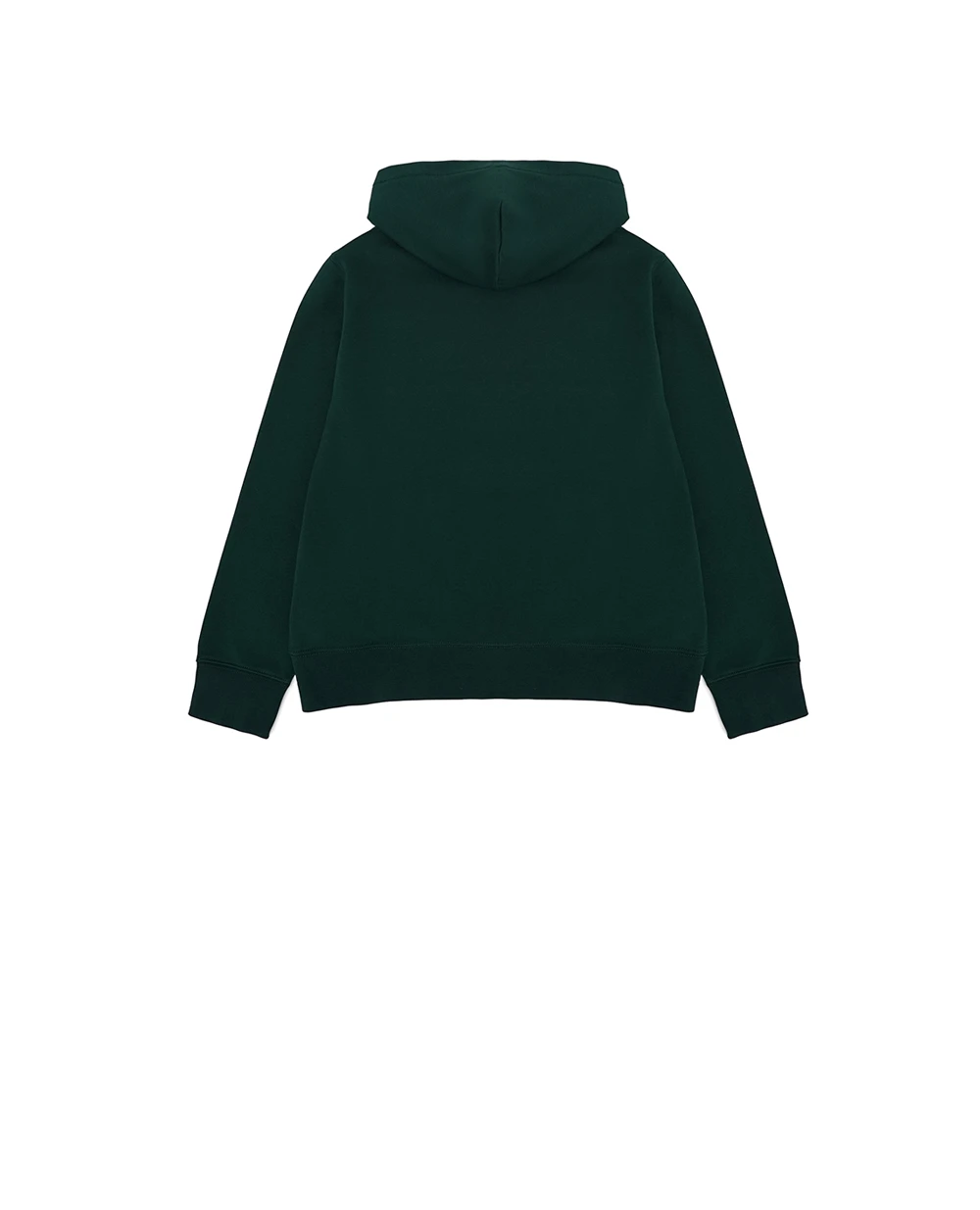 Детское худи Polo Bear Polo Ralph Lauren Kids 322960440003, зеленый цвет • Купить в интернет-магазине Kameron