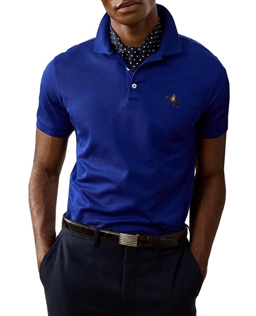 Поло Ralph Lauren Purple Label 790508036105, синий цвет • Купить в интернет-магазине Kameron